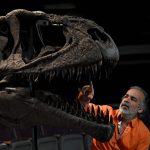 Descubren en Argentina nueva especie de dinosaurio de enorme cabeza y pequeños brazos llamado Meraxes gigas