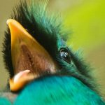 Trabajo de fotógrafa guatemalteca fue seleccionado por National Geographic en su colección de naturaleza