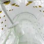 Así es “el lugar más puro del planeta” en el que los científicos buscan la misteriosa materia oscura
