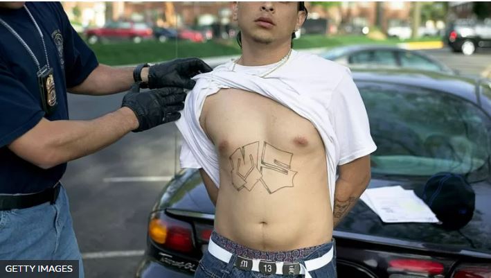 Mara salvatrucha