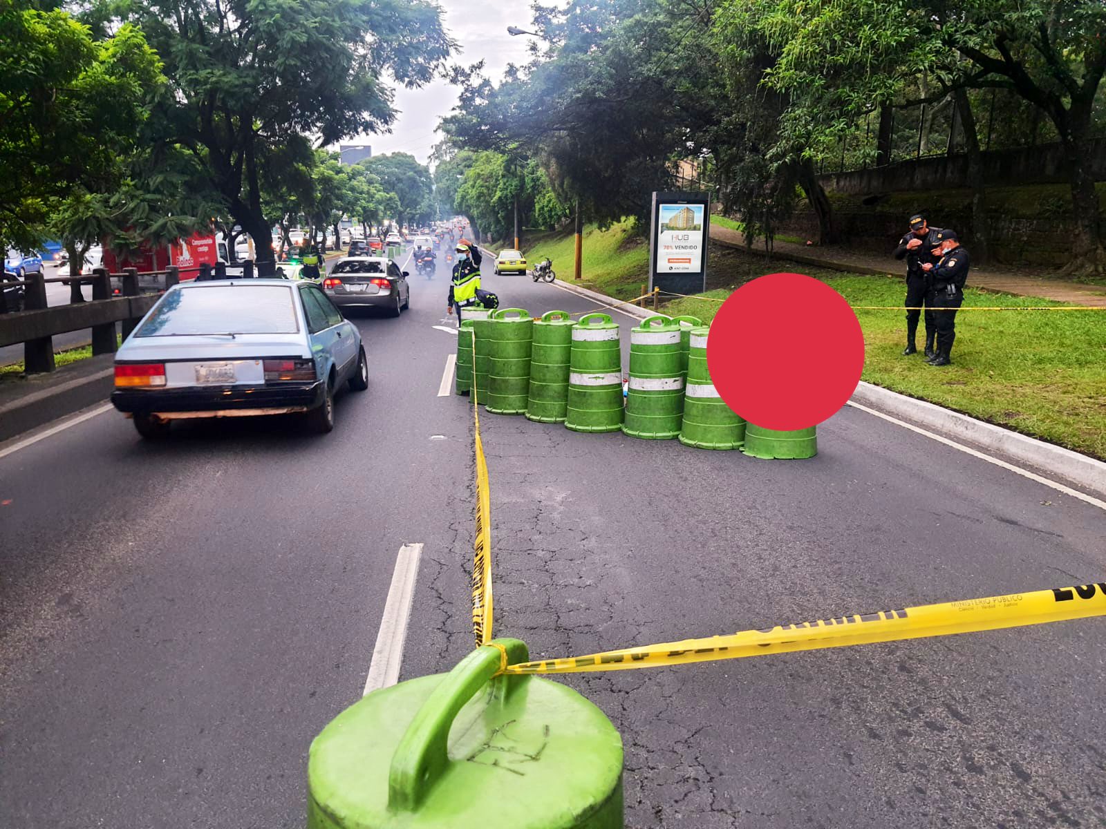 Accidente zoo