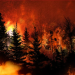 Qué son los “rayos secos”, causantes de devastadores incendios forestales