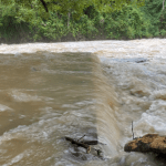En imágenes: Restringen temporalmente el acceso a las pozas de Semuc Champey por incremento del caudal del río Cahabón