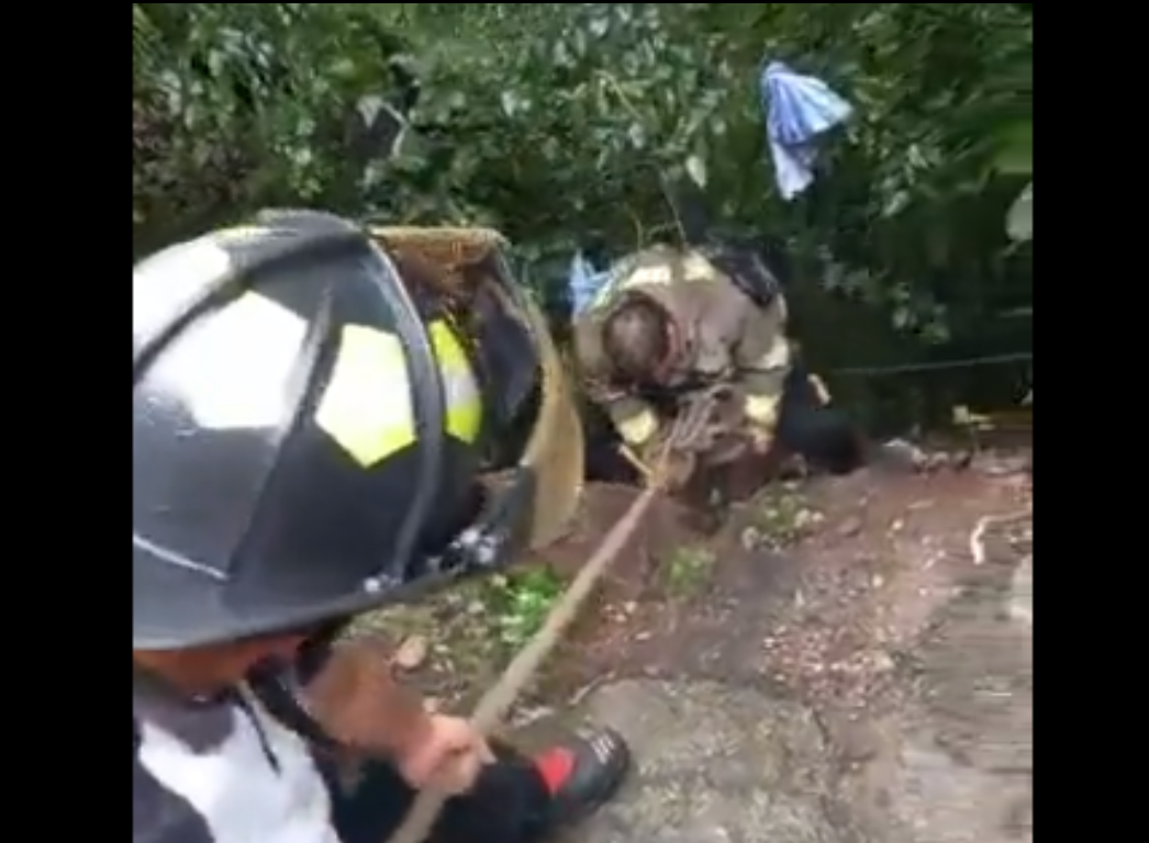 Rescatan a mujer de barranco