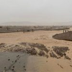 La extraordinaria inundación en el Valle de la Muerte, un evento que puede ocurrir “una vez cada 1.000 años”