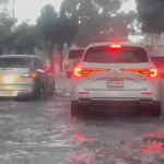 Inundaciones y árboles caídos: Fuertes lluvias en la capital afectan algunas zonas