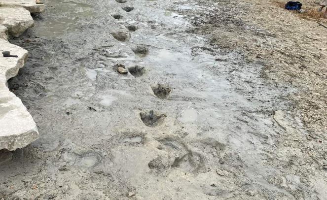 Las reveladoras huellas de grandes dinosaurios que la sequía dejó al descubierto en un parque de EE. UU.