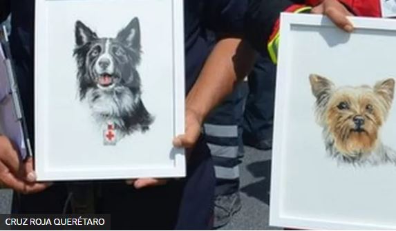 Athos y Tango: la histórica condena de 10 años de prisión para un hombre que mató a dos perros rescatistas en México
