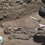 Descubren que los humanos hacían cirugías hace 31.000 años