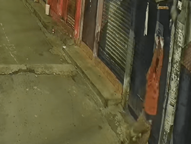 Destruyen cámara en la zona 11 de Mixco