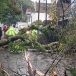 Las imágenes que muestran el panorama en algunos sectores de la metrópoli por las fuertes lluvias
