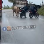 Video: El instante en que toro embiste a dos motoristas en una carretera