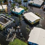Alertan sobre posibles encuentros con animales salvajes en áreas impactadas por el huracán Ian