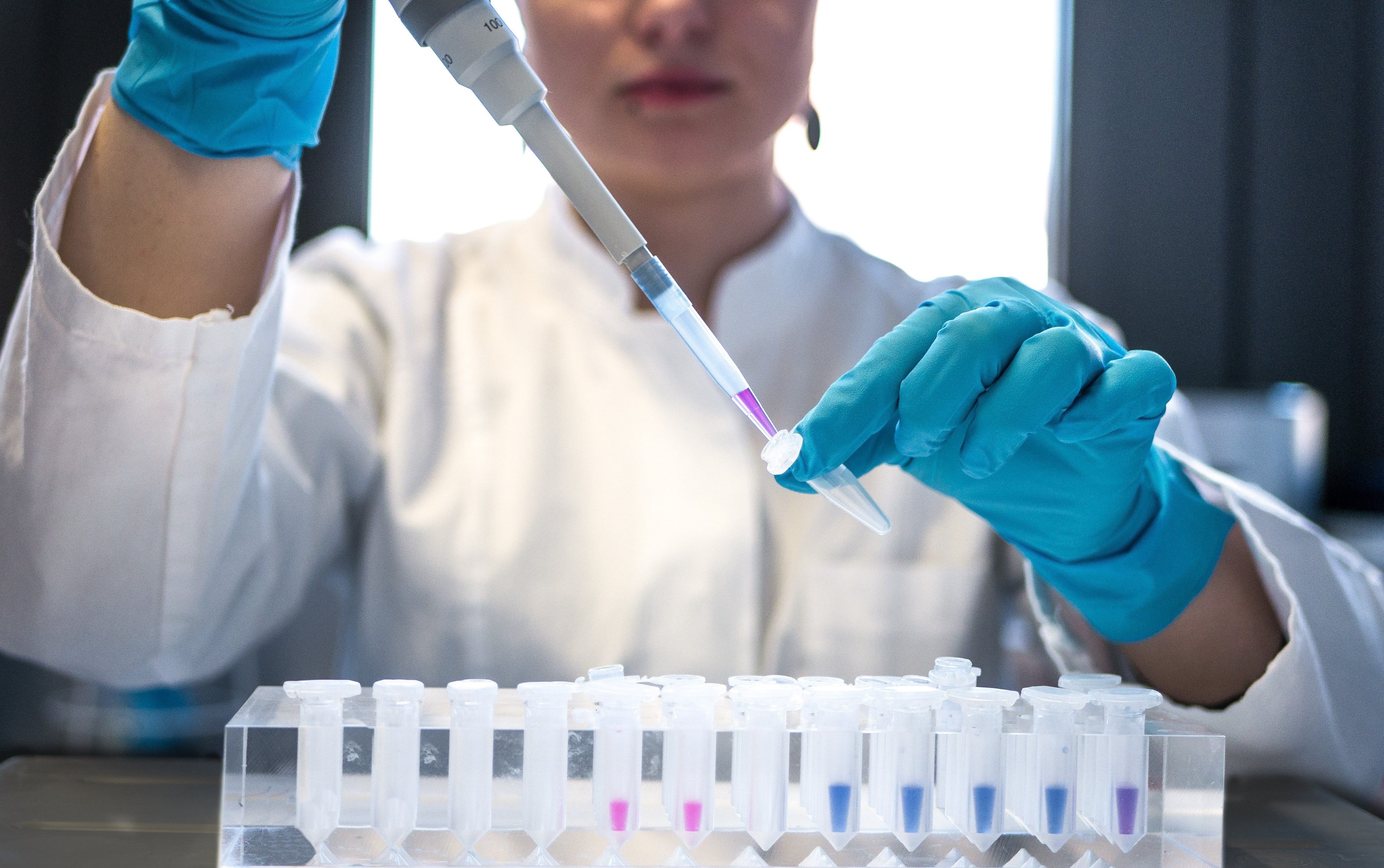 Laboratorio