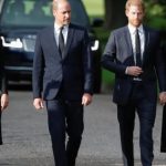 Muere Isabel II: cómo el duelo ha unido nuevamente a los príncipes William y Harry