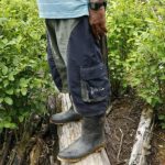 Colombia bate su propio récord de cultivo de coca, según un nuevo informe de la ONU