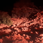 Derrumbe en el km 165.5 de la ruta Interamericana interrumpe el paso hacia la capital y viceversa