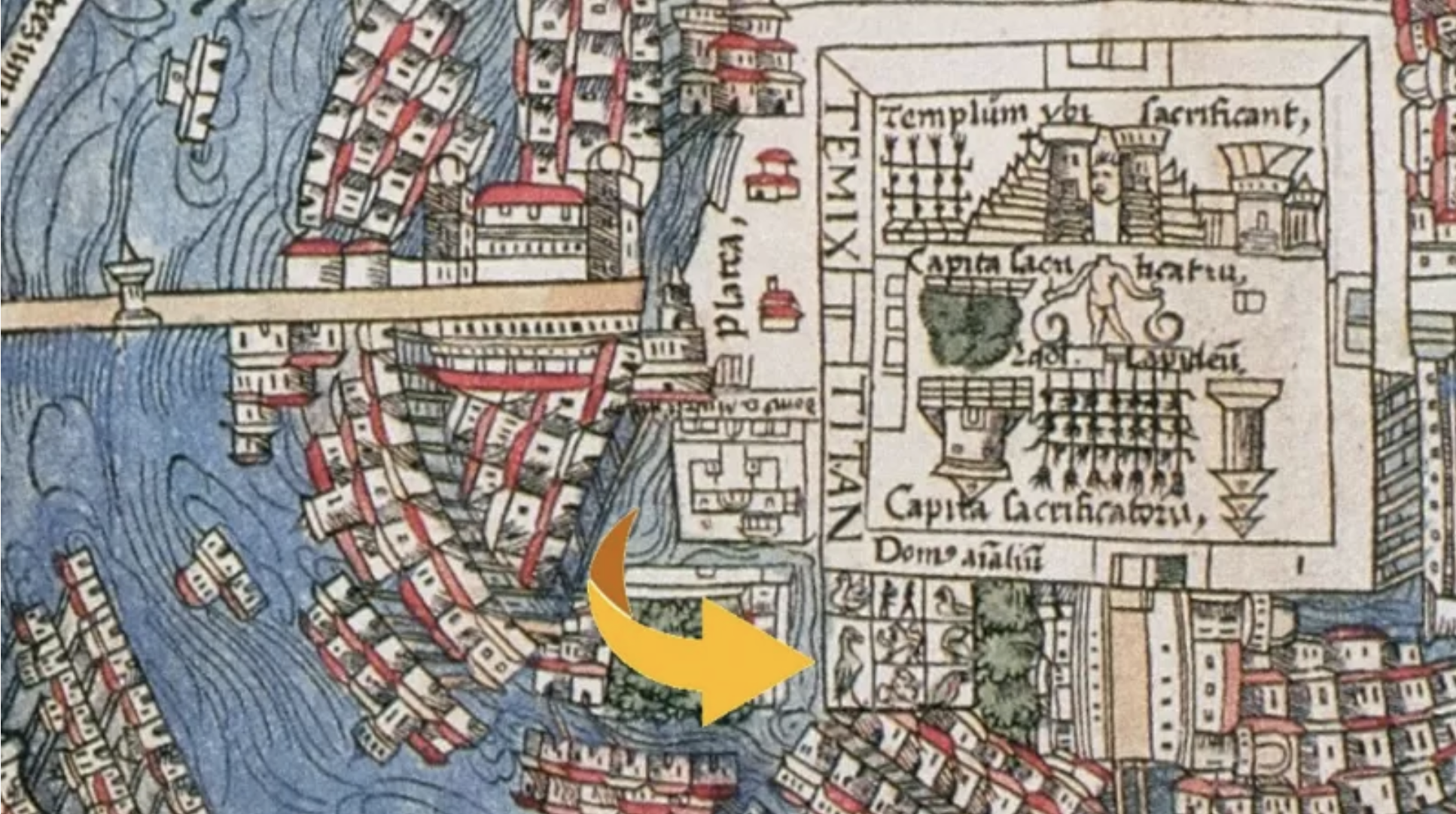 La infame historia de los zoológicos humanos que se mantuvieron abiertos en Europa hasta 1958