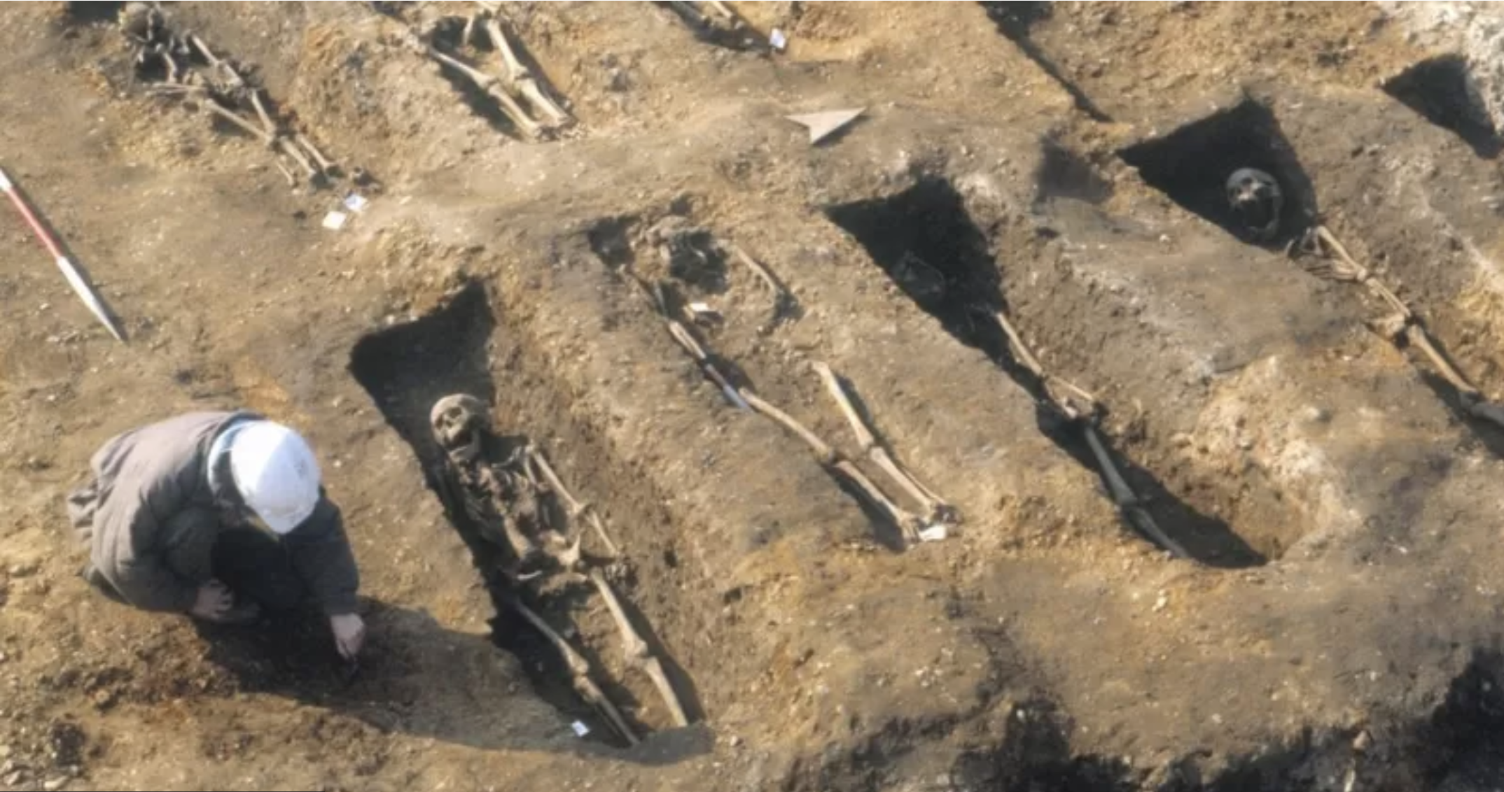 Cómo la peste negra de hace 700 años sigue afectando tu salud ahora