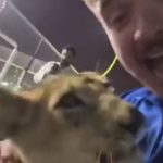 Qatar 2022: el video que muestra cómo dos aficionados terminaron en una lujosa casa de un qatarí cuando solo querían buscar cerveza