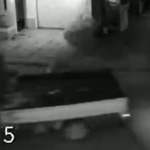Video: El instante en que motorista choca contra camión y pierde la vida