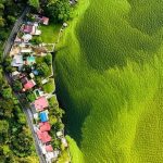 La oscura realidad detrás de la imagen del lago verde de Guatemala que ganó el “Oscar de fotografía de vida silvestre”