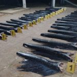 Autoridades capturan a seis personas por pesca ilegal y revelan lo que transportaban en sus botes