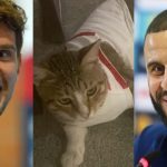 Dos jugadores de Inglaterra adoptaron a un gato que los acompañó durante su estadía en el Mundial de Qatar