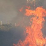 Incendio en Viña del Mar: Chile decreta el estado de emergencia por el fuego incontrolado