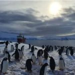 Rodeadas de pingüinos e icebergs: la Navidad en la oficina de correos del fin del mundo