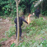 Decomisos al narco este fin de semana en Guatemala superan los Q12 millones