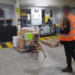 Localizan droga en recinto aeroportuario de exportación y su destino era EE. UU.