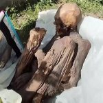 El repartidor en Perú que llevaba una momia prehispánica en su mochila