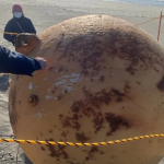 Japón: la misteriosa bola gigante hallada en una playa al suroeste de Tokio