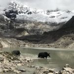 Los 4 países que enfrentan la mayor amenaza de inundaciones por el derretimiento de glaciares (incluido uno en América Latina)