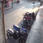 Video: el instante en que una mujer en cuatrimoto sufre accidente al tratar de esquivar a dos perros que se le atravesaron