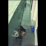 Cámara de seguridad capta agresión contra mujer de 75 años en la zona 3 de Xela