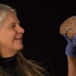 La asombrosa historia de la científica que por un derrame cerebral que la paralizó temporalmente hizo un gran descubrimiento