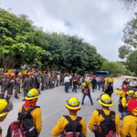 Turista desaparecido en Tikal: juzgado ordena que continúe la búsqueda por tiempo indefinido y qué dicen las autoridades