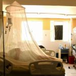 El brote de dengue que ha dejado decenas de muertos y miles de contagiados en América Latina