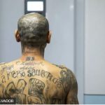 Qué es el “Programa México” con el que la Mara Salvatrucha se expandió en ese país (y cuál fue el golpe que lo dejó al borde de su desaparición)
