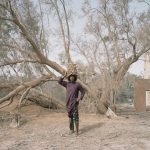 Sony World Photography Awards 2023: las imágenes ganadoras de los reconocidos premios de fotografía