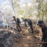 Incendios forestales arrasan decenas de hectáreas de bosque en Petén
