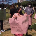 Muerte de perros en Xela: sancionan con miles de quetzales a responsable de envenenar a “Nucita” y “Loba” (y cuya acción quedó grabada en video)