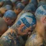 Qué consecuencias tiene en América Latina la llegada de pandilleros que huyen de El Salvador por la guerra de Bukele contra las maras