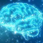 Qué es la misteriosa “zona incierta” del cerebro (y qué pistas ofrece un nueva investigación sobre ella)