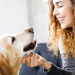 Qué enfermedades te pueden transmitir las mascotas y 5 consejos para evitarlas