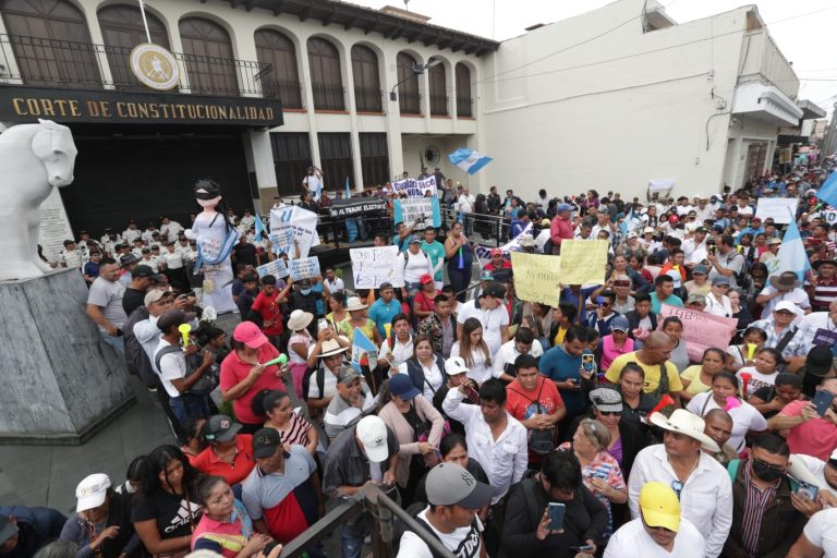 Carlos Pineda, COrte de Constitucionalidad