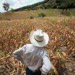 El Niño: cómo se verán afectadas Guatemala y Centroamérica por este fenómeno, según la alerta de la ONU