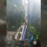 Qué se sabe de los 4 niños desaparecidos tras un accidente aéreo en la selva colombiana en el que murieron todos los adultos